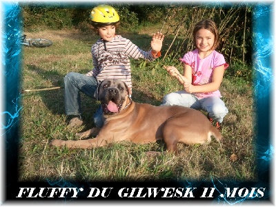 du Gilwesk - des nouvelles de FLUFFY du gilwesk 11 mois