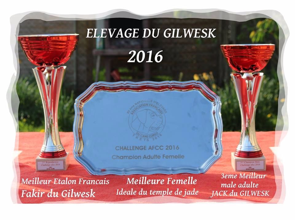 du Gilwesk - Remise des Trophées du challenge 2016