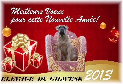 du Gilwesk - MEILLEURS    VOEUX   2013 !