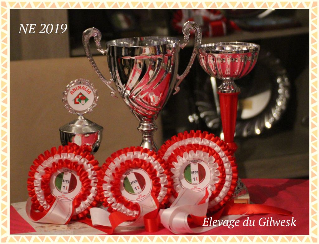 du Gilwesk -  Les Gilwesk a l honneur a la NE  2019