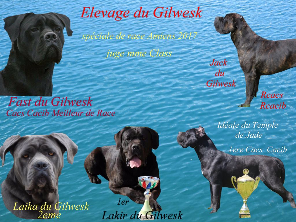 du Gilwesk - LES GILWESK  a  l honneur   speciale d AMIENS MAI 2017