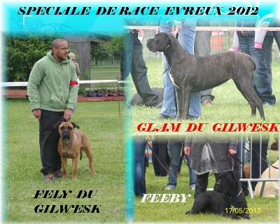 du Gilwesk -  notre production a la speciale de race d'evreux 2012!