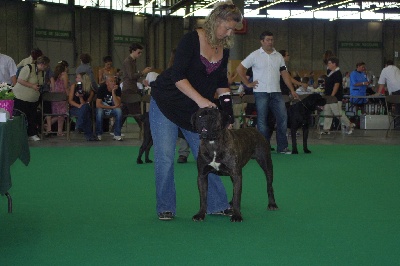 du Gilwesk - CHAMPIONNAT DE FRANCE 2010