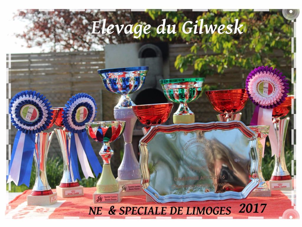 du Gilwesk - LES GILWESK  a  l honneur   lors de la NE 2017 LIMOGES 