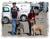  - L élevage du Gilwesk  a encore brillé  lor du 96 Dog Show LUXEMBOURG 