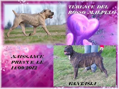 du Gilwesk -  DES BEBES  POUR LE 13/09/12 !!!!!!!!!