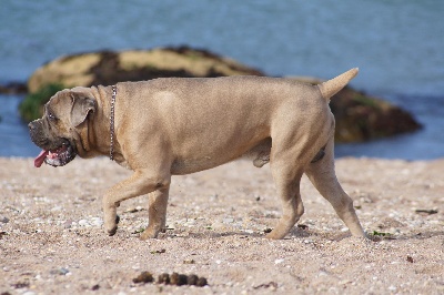 du Gilwesk - NOUVELLES PHOTOS DES BB DE TEO