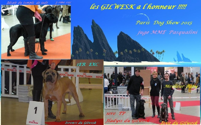 du Gilwesk - Excellents resultats  cacib Paris  dog show