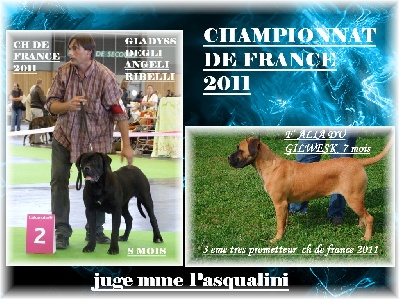 du Gilwesk -  EXCELLENTS RESULTATS  CH DE FRANCE 2011