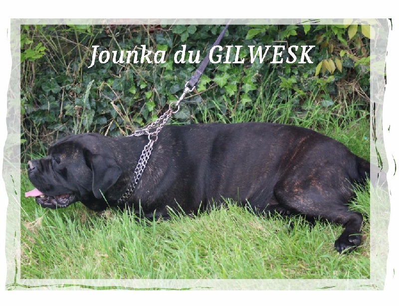 Jounka du Gilwesk