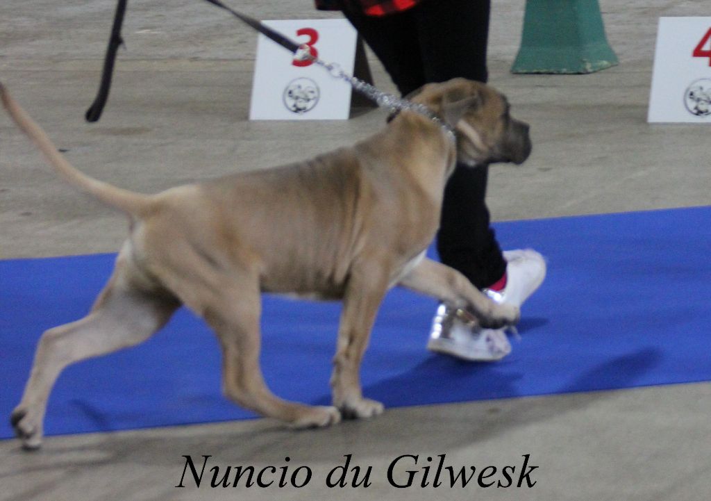 Nunzio dit nuncio du Gilwesk