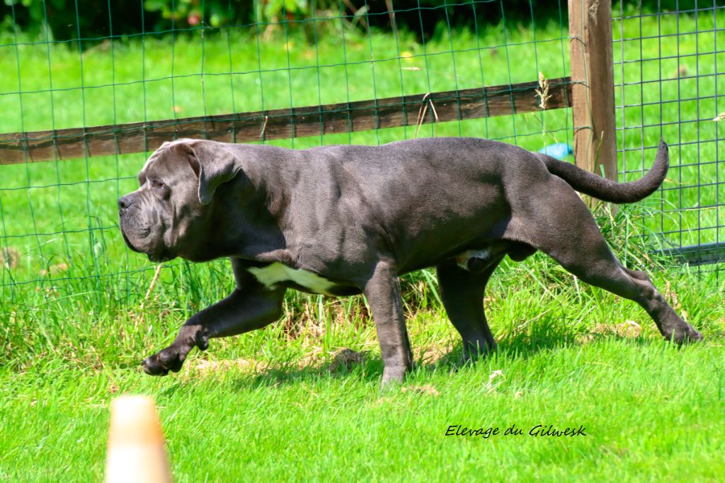 Titan Du Règne De Malaudrea