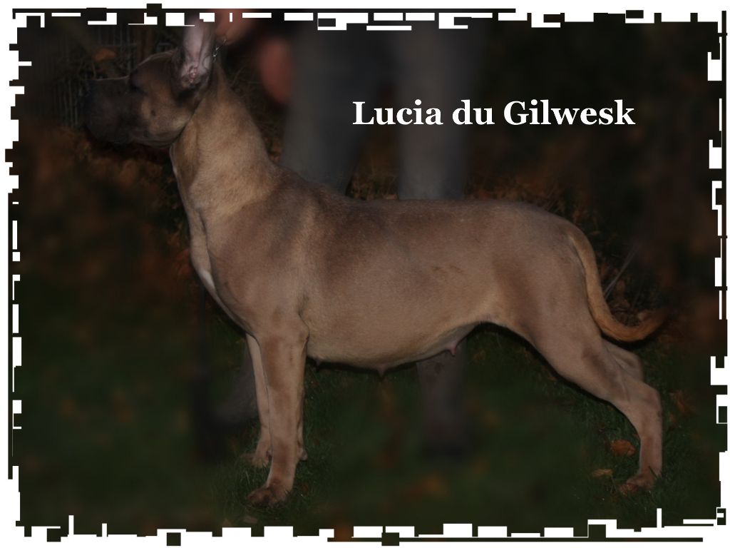Lucia du Gilwesk