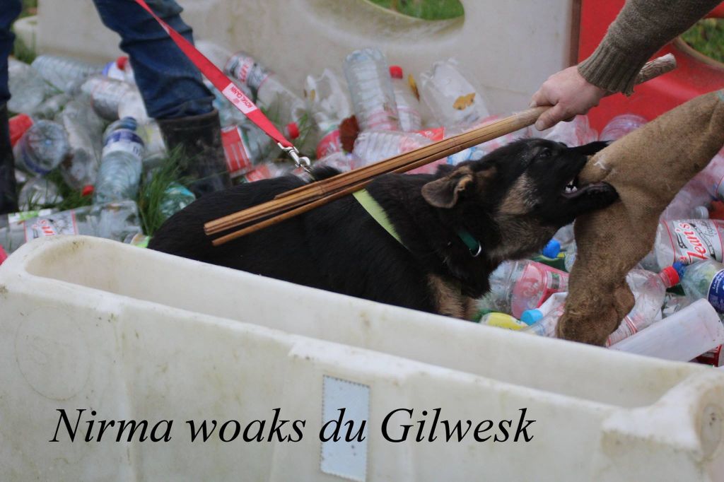 Nirma woaks du Gilwesk