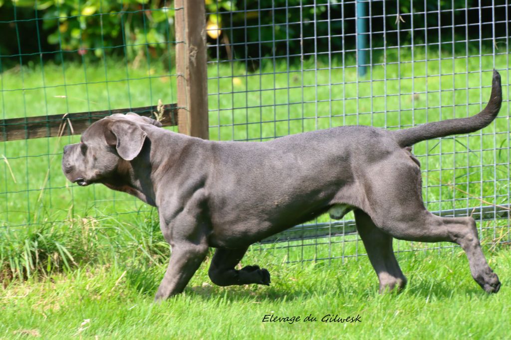 Titan Du Règne De Malaudrea