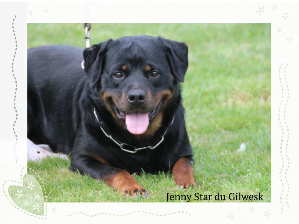 Jenny star du Gilwesk