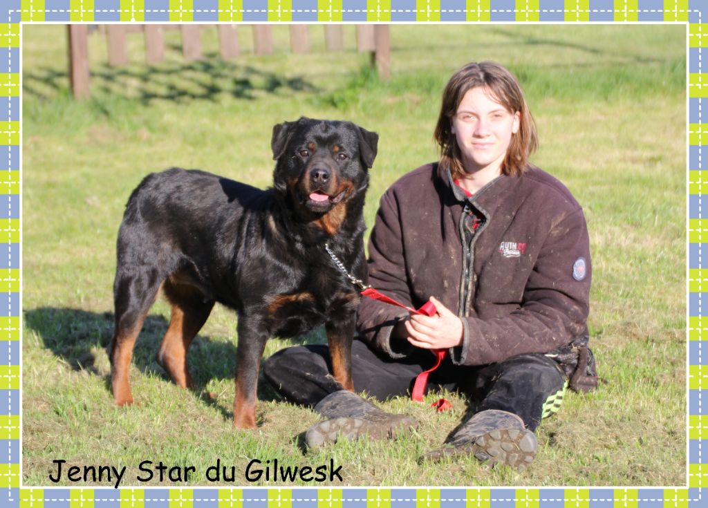 Jenny star du Gilwesk