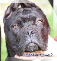 Juliane.... DU   Gilwesk 