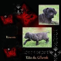 Rita   du Gilwesk2